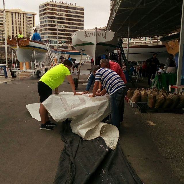 92bbfd9a5218546c7ed6ff6f65363480