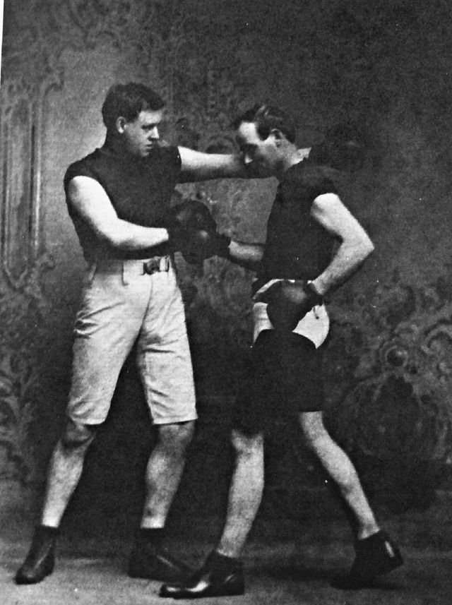 93361b8ee26d7c1120333d14256d46b2