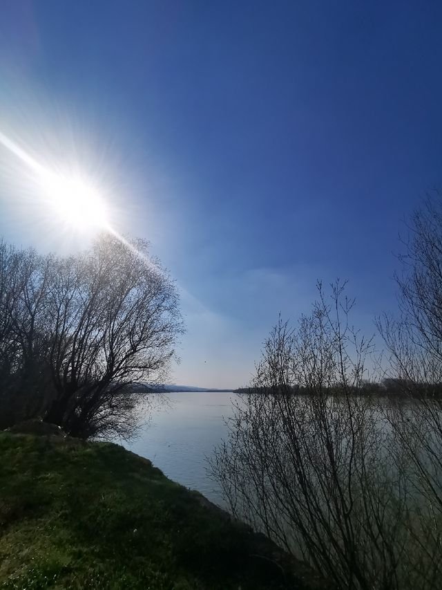 9662f7b1e1f5aa236f8e0724d66c68d0