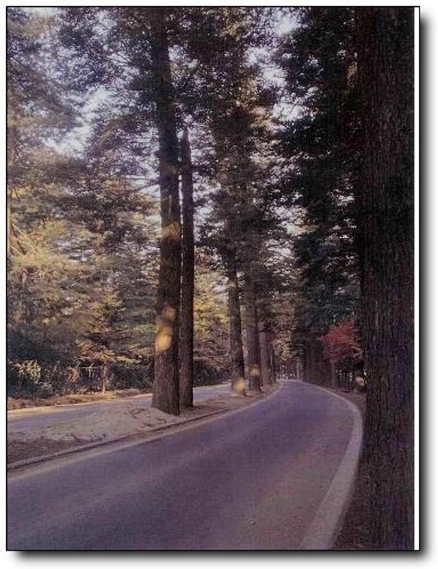 98fe7799e8958dc4969705fa8c4400c1