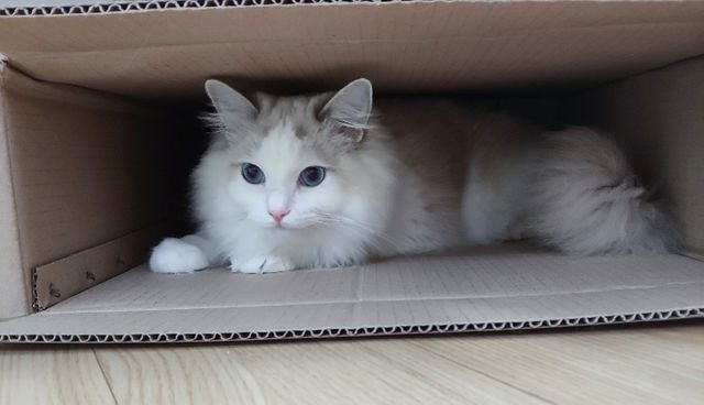 9920146ab9919059b4cc534d788ce0c4