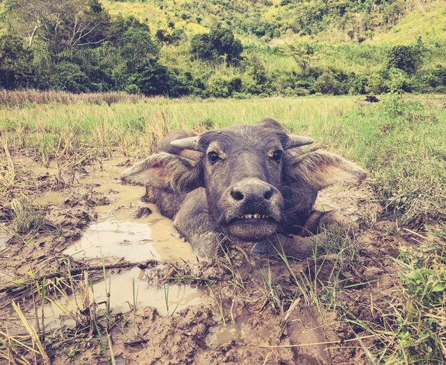 9a1ba257fb66a6fdb6f23856a77ff5a7