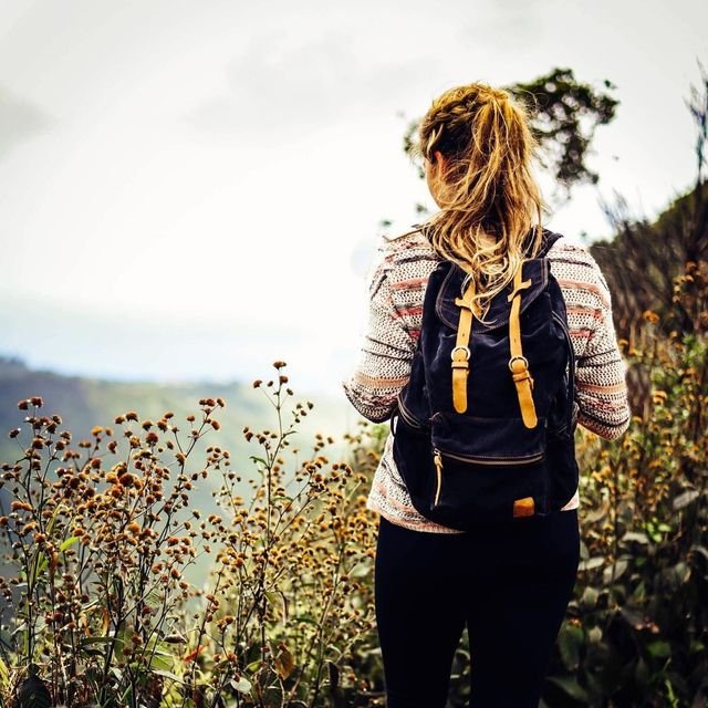 9ba3e5dd0c314b77ae216694dc235dd2