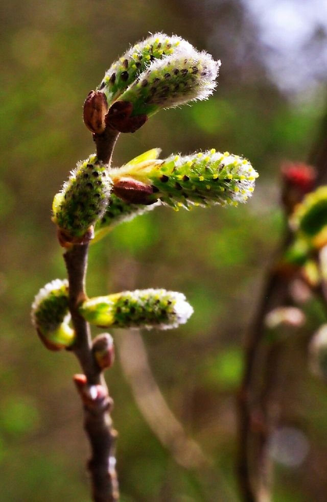 a06bdedf1ade7021f48e961691d23200