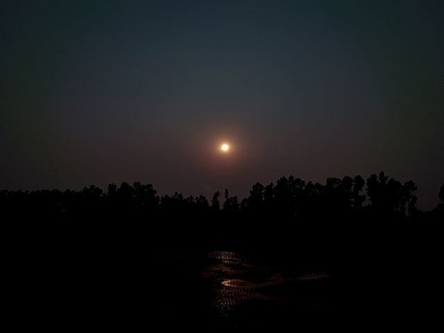 a0e3c43c1017a5e04f9338f5f2ed85fb