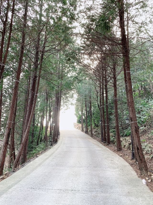 a2b11a9f511901a88fd11138a3395eba