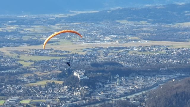 a5a945581456a1a2ddbf26feddd34208