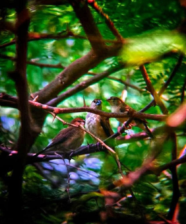 a65b1b5094495119b2f856cf0276a137