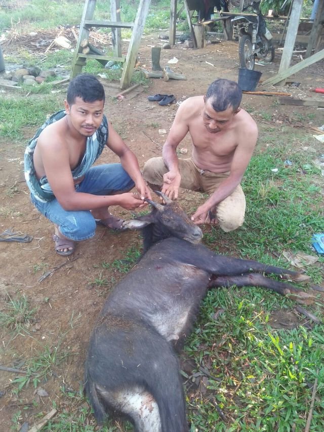 a82f3b3fd86a2858223bee9a8a589f02