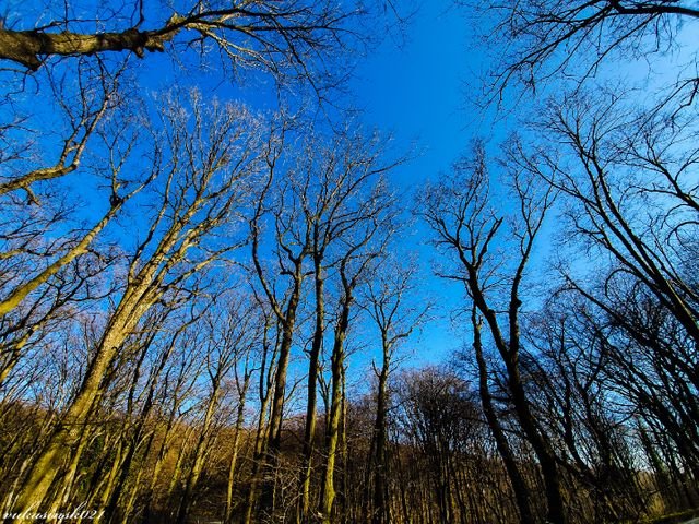 ab1b64ae3bc056bfba25c8cefa4d7d4f