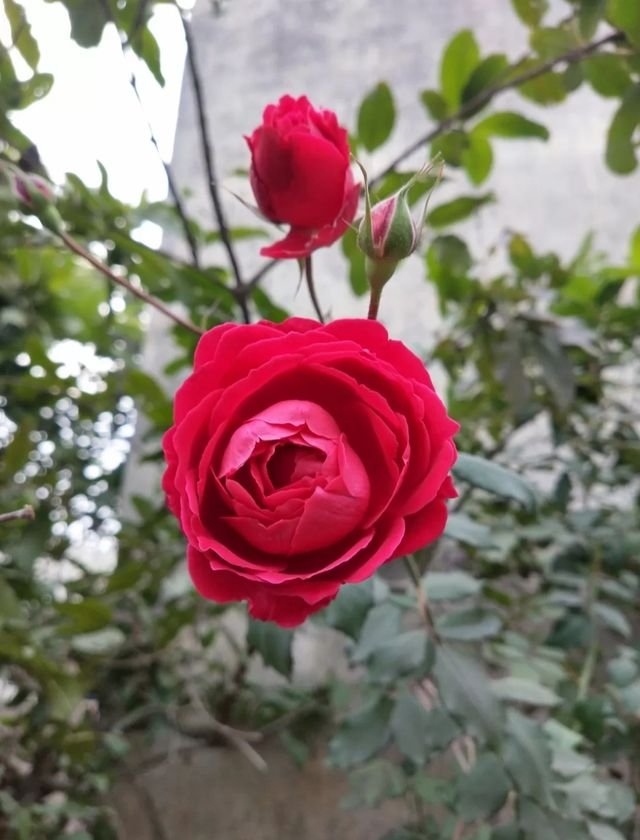 abaebe8925a413f5d4e5b4cd4016ebff