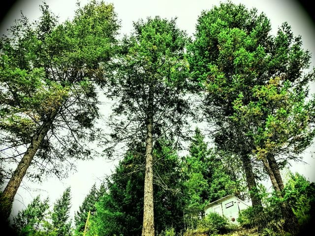 b058dfede2fed239a84f96a399bf71af