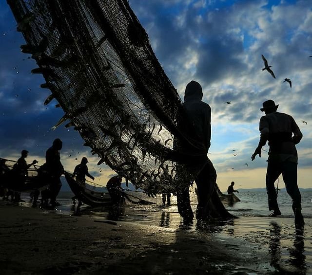 b07666312fb474d9ae7aacfbacb608eb