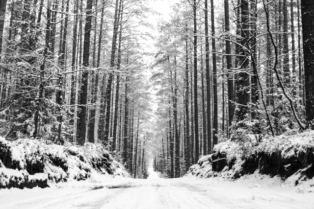 b0cf24b0b9ce2169883e6551c0a80738