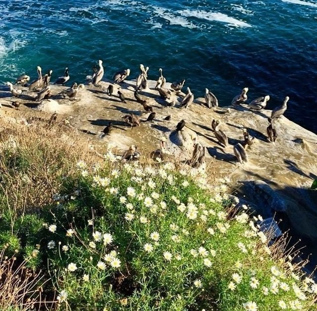 b260219d1a14c69297ef8df747829fdd