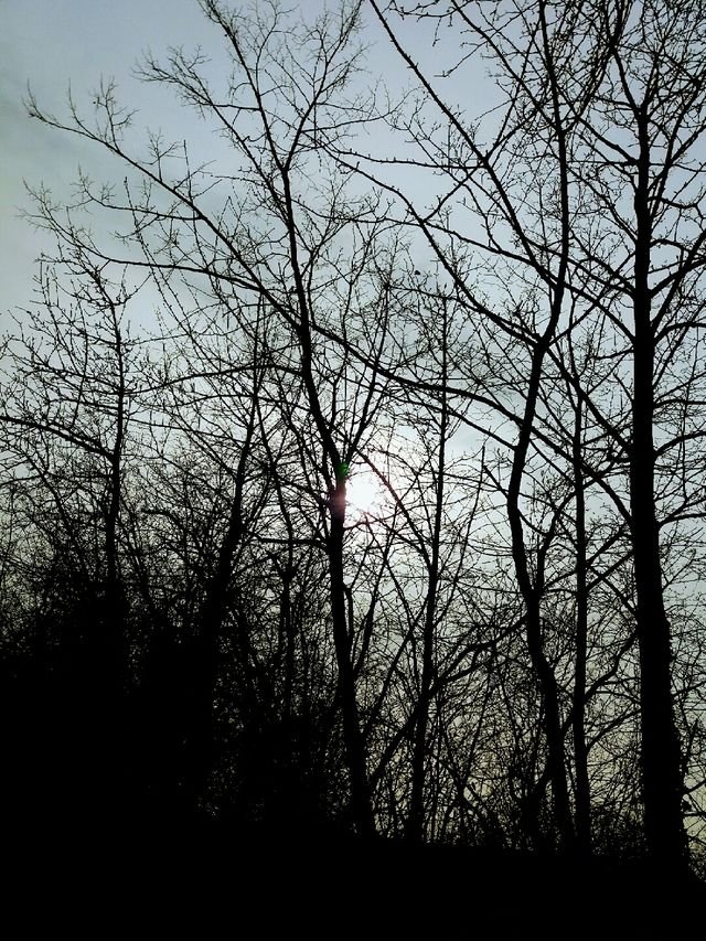 b3ac7a617b23c6baf4a9e3ee6d36b62d