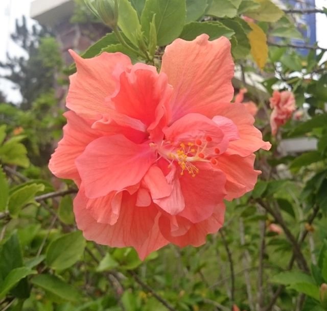 b556e2962b1efa43ff97d1187a12fe67