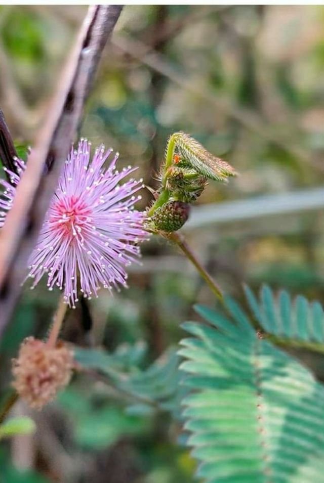 b65cf021028e89aa144ab5e4723c366c