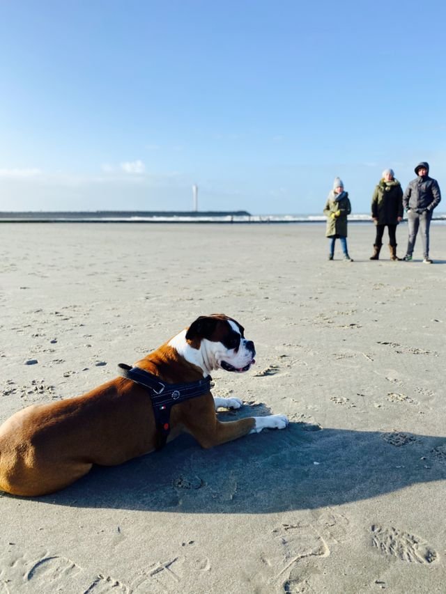 b6bc99bb77c857ace8fa49e0f0a39dcd