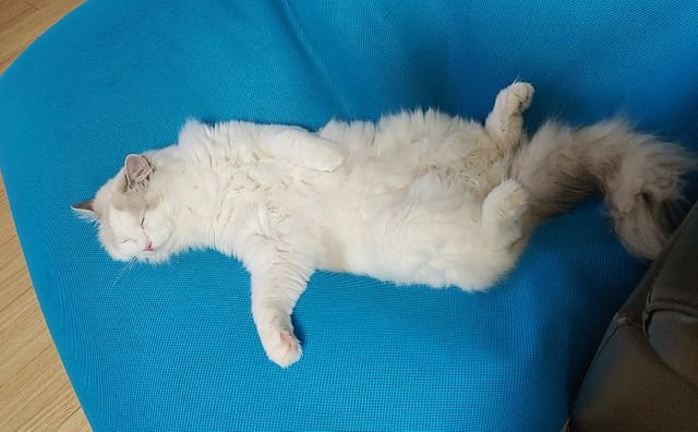 b9ff8bbfdb06ce170c08b81ba8c2bd1c