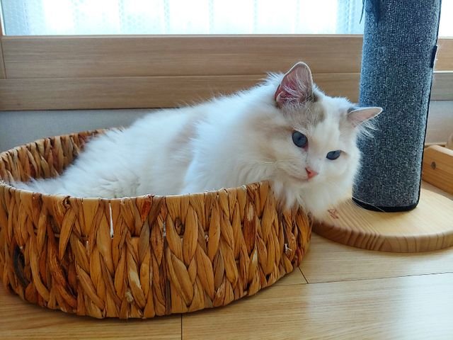 bce34e70d6ae16ad963b893f28a8f930