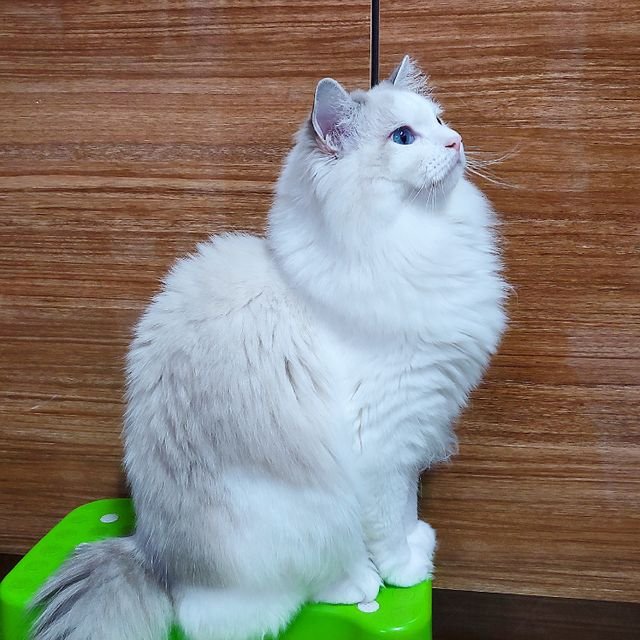 be6f97a4051cdc904eefa42201b442fe