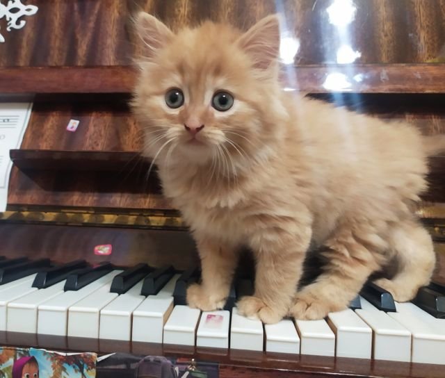 c11e8082e13a6d7976a4e405f103a1b8