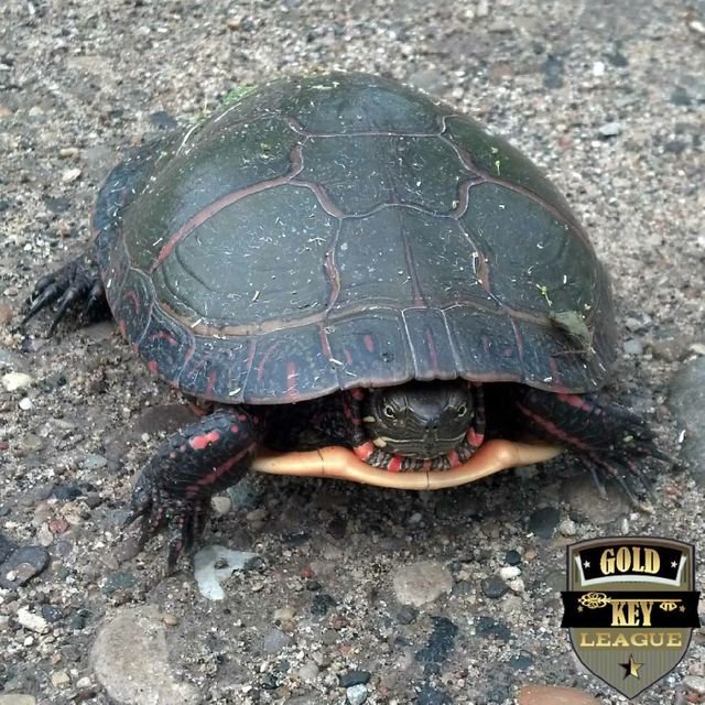 c20beb1ede7eb961e0bf6d02bb248dfa