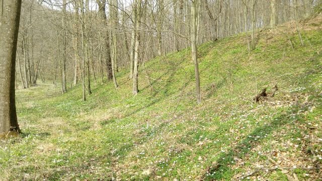 c26e4cf9e1de2caf13c8dc8810e677a8