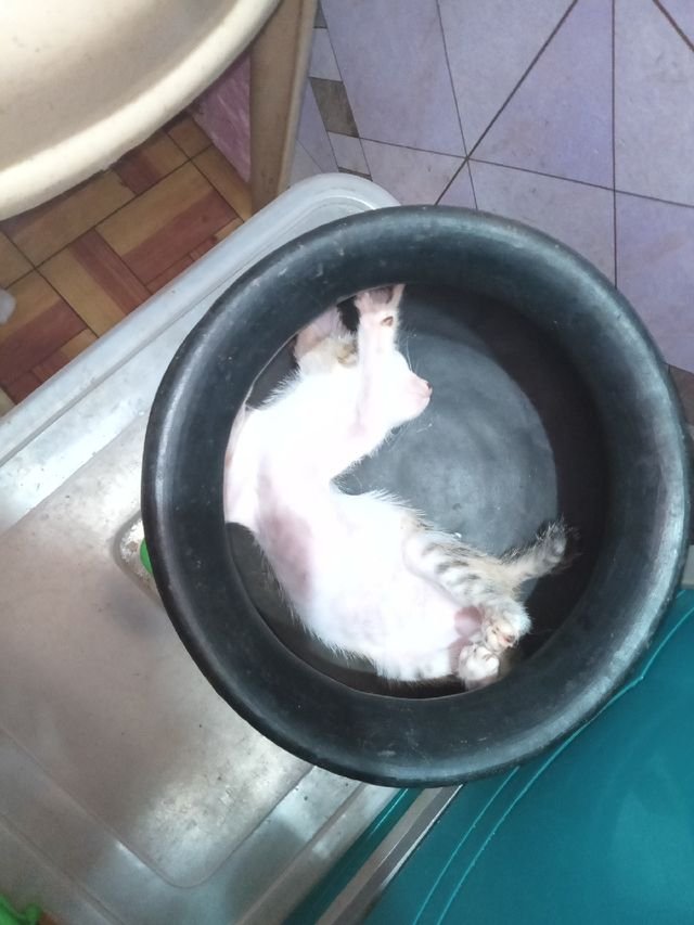 c78c891e149b593f343bba9ee5c950d4