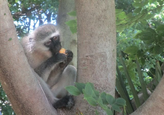 c9a1e70466f94e770f11c71bf4102552