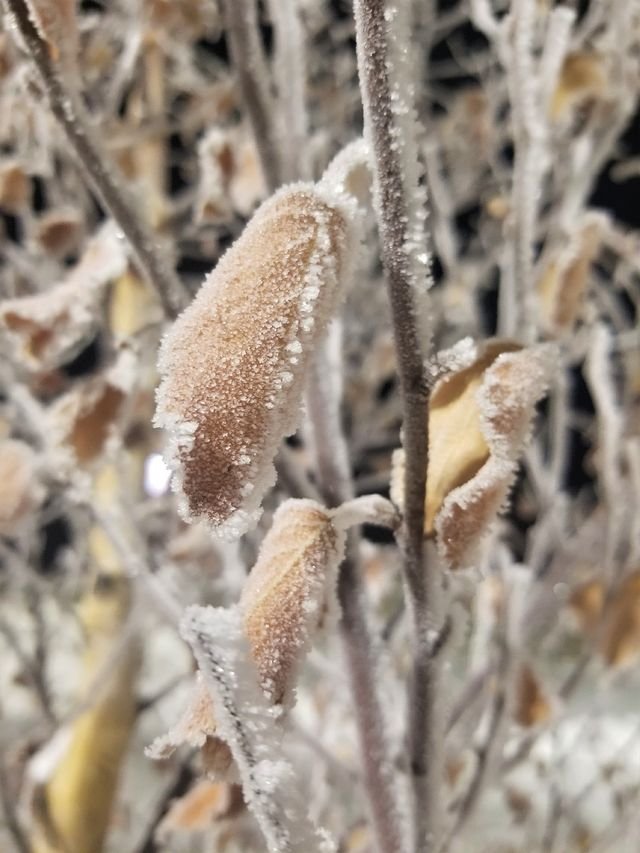 cb8e7dd926eecc7a44c2a3faf4b62268