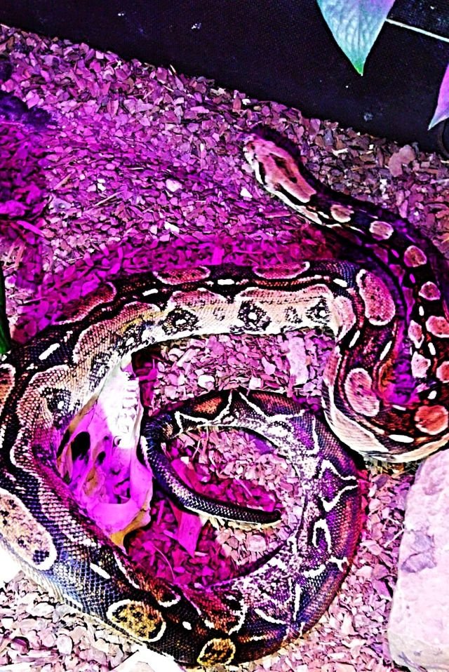 cd64f75cbb1c7c1f6e44937ac1b060ef