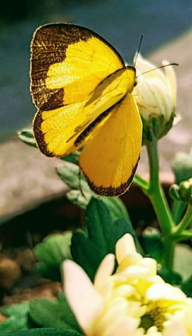 ce82bff6abdd5f6a4383e4fcc5901e58