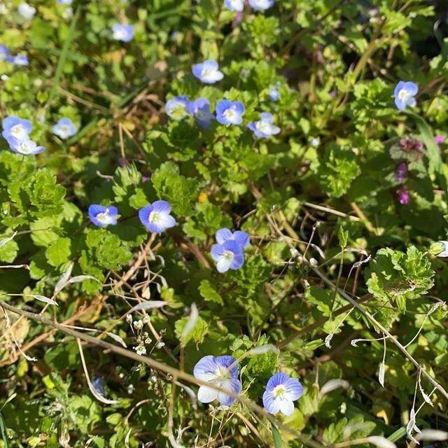 d1f48a27392ceab4ee34c9c47f920fb9