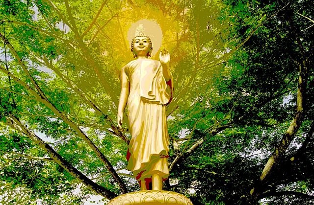 d28f7662dd98a42485824825a36346f7