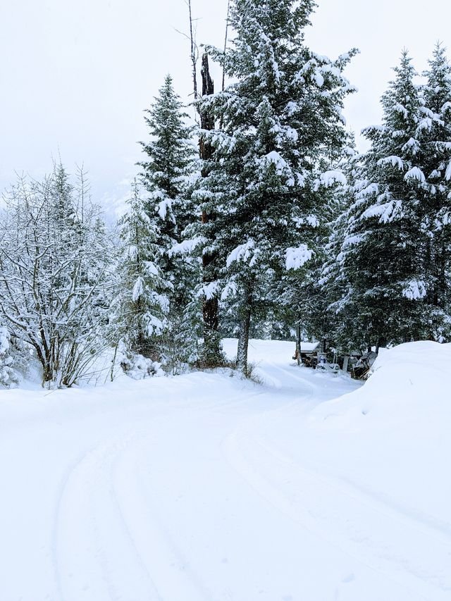 d6329f77320ff59e220a0df2753161a2