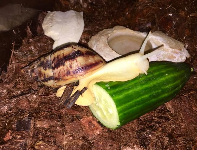 da5d845c6b94e4999785c897c2b3803b