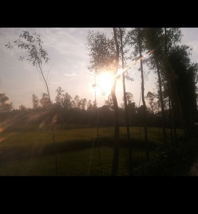 dc70ccb1e4e8e82bc4df3ad0a0fb9141