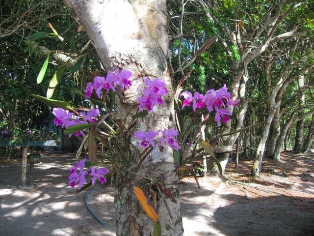 de78673b2d602e92b6e0dbfc43b4c8e7