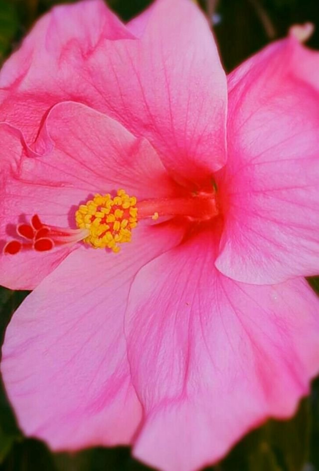 e01f9c9ab282254b757276319297db95