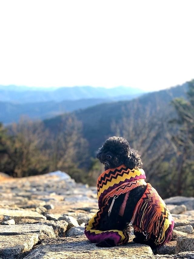 e12817c1f0b141b90ffbb0e04cda5a8c