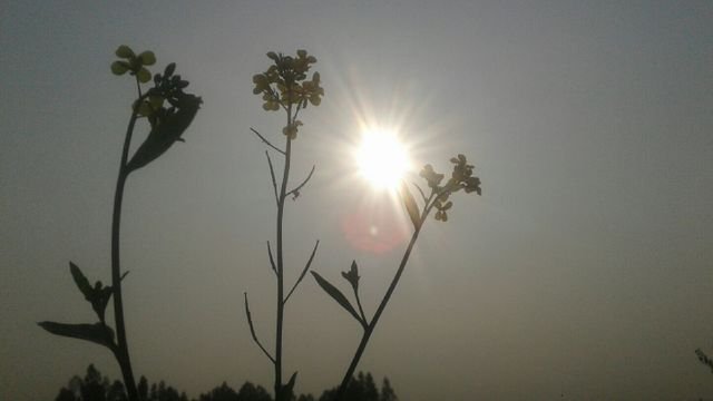 f092a7010da5ab4152a7b2ed7340b98e