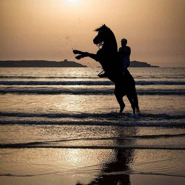 f0d3448831250a25495a61f57620d9e0