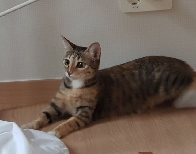 f285dfb156bf2241999f6d9aaf425270