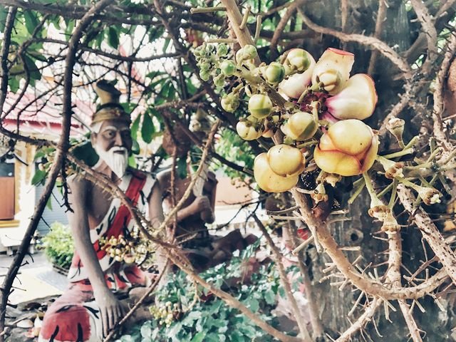 f389466c1b7f60beddacad6e40e30d28