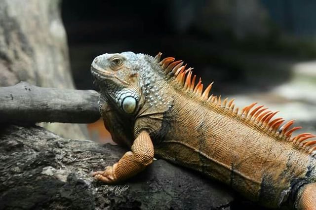 f3ed7c6416bda8c0cc72f936f81c0360