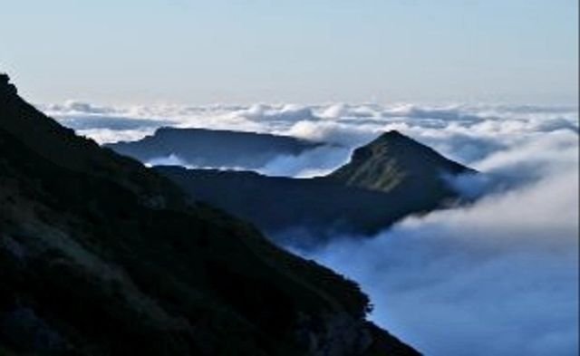 f4a8ba0f1e65049d5802c4898219b661