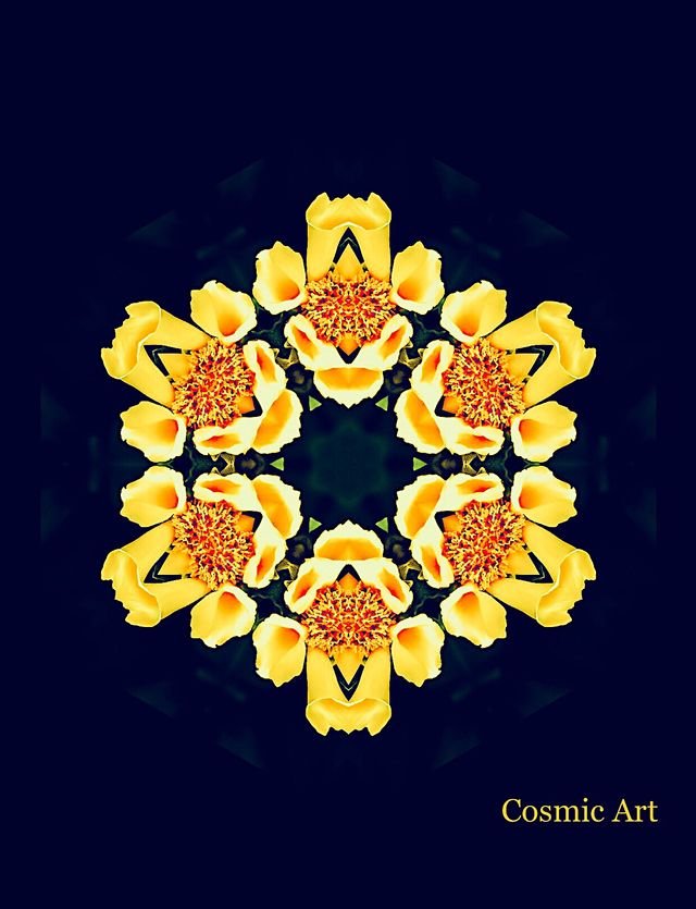 f583016783ff4ef6d572ee6189a8e2e0