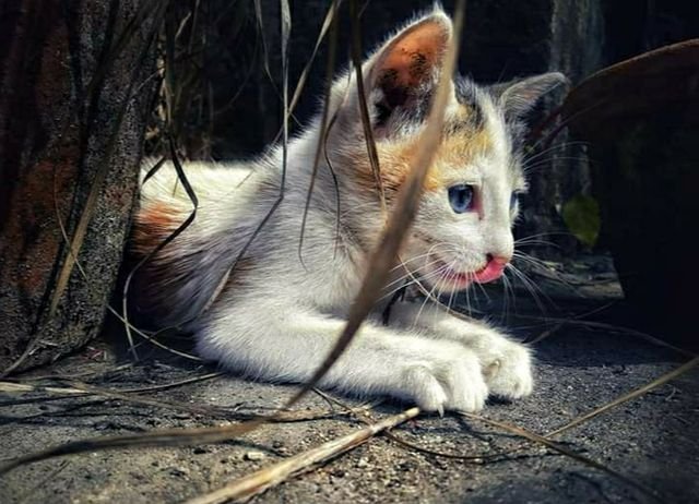 f677d3ddd111802f1b9d8fe02003e50c